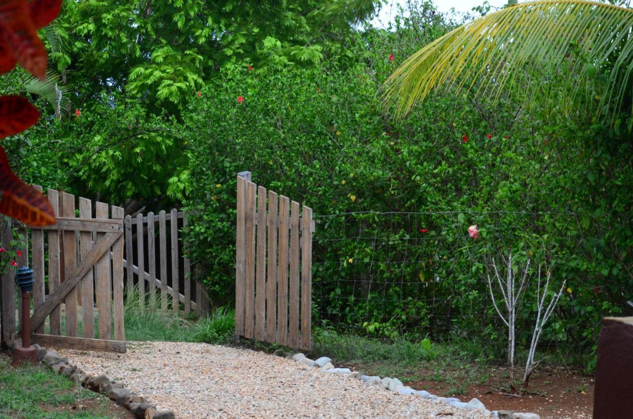 Montezuma Hills - Two Houses In A Private Compound Εξωτερικό φωτογραφία